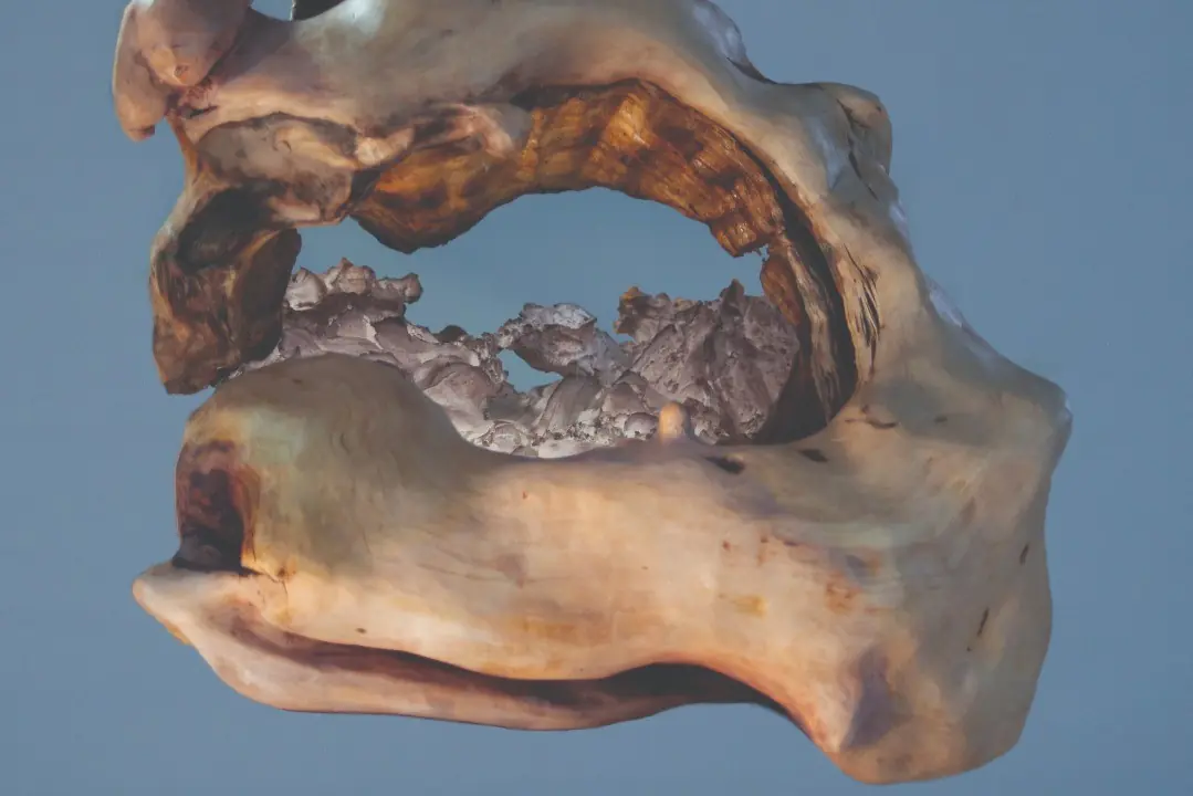 Hanna Marno: Semisanguineus — Forum Box, Helsinki