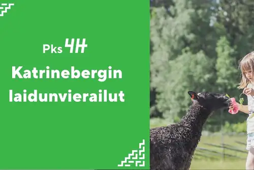 Besøk på Katrinebergs gårds beiteområde