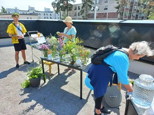 Vuxnas gårdfredagar