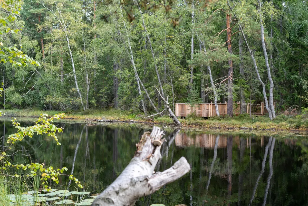Природная прогулка в день Хельсинки на Кронвикен — Päätie 28a, Helsinki, Хельсинки