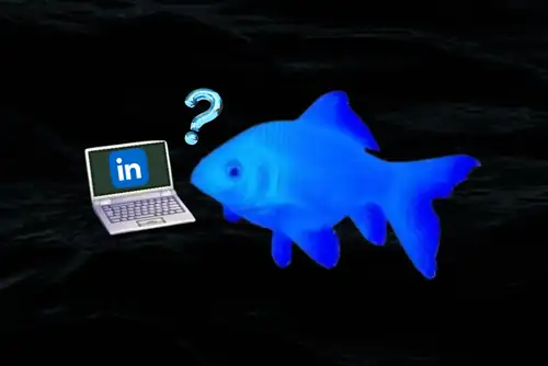 Vurder LinkedIn-profilen min, stand-up-kveld