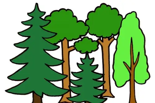 Metsätuokio