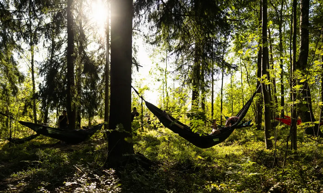 Metsään laskeutuminen Karhukalliolla — Stoa, Helsinki