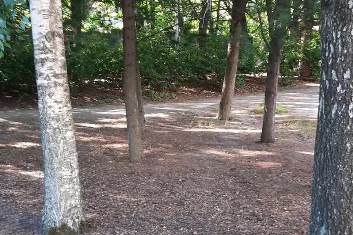 Luonnon tutkimista luupeilla ulkona pienille — Leikkipuisto Vähätupa, Helsinki