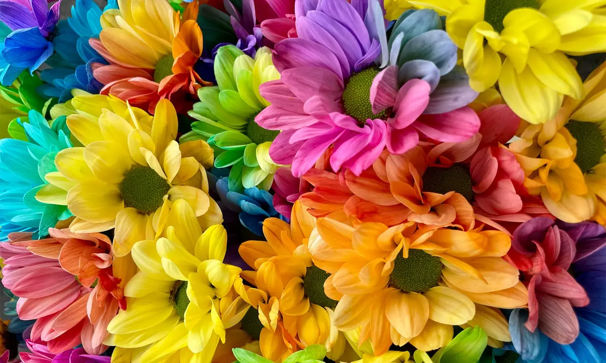 Vuotalon Nuorten Pride — Vuotalo, Helsinki