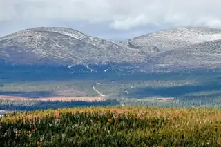 Fellessang: Synge og forstå på nordsamisk