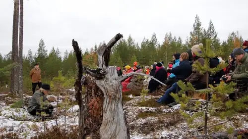 Pakko sanoa! Art Festival, Suomussalmi