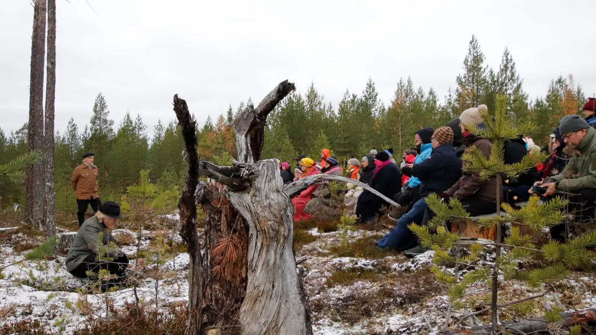 Pakko sanoa! Art Festival, Suomussalmi — Suomussalmi