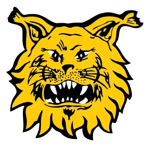 Ilves - KooKoo