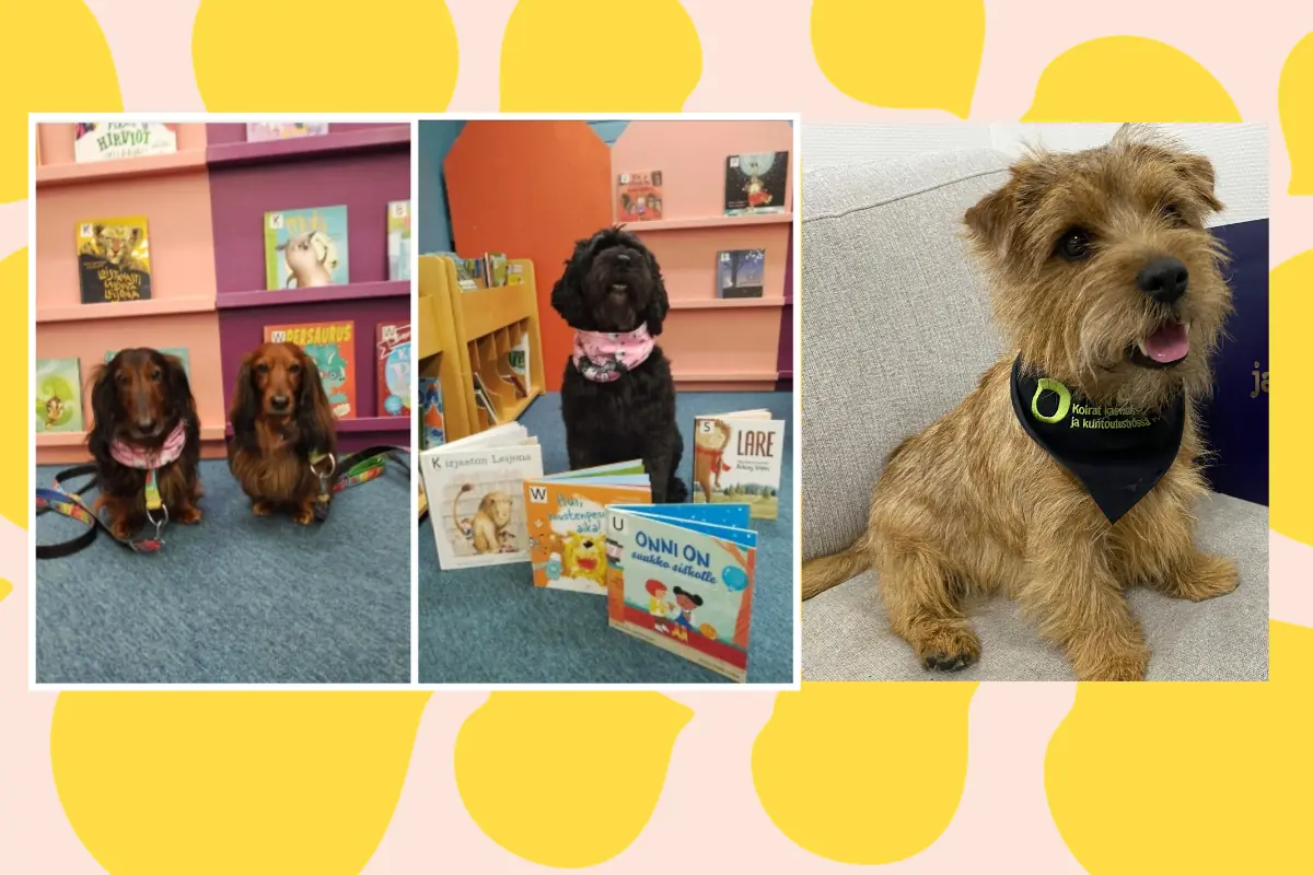 Meet the Reading Dogs — Kauklahden kirjasto, Espoo