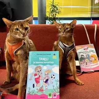 Meet Reading Cats Marvin and Lenni