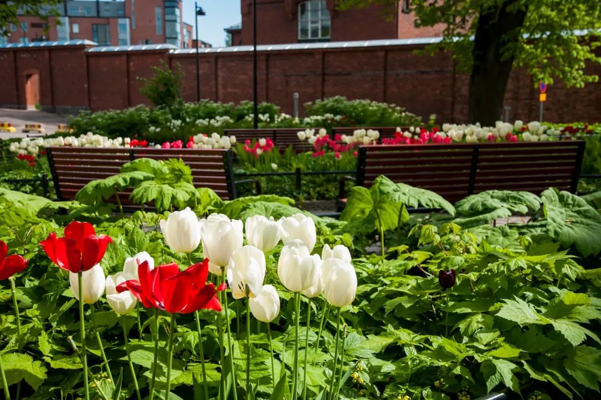 Park Walk - Hotel Pier 4 Rooftop Garden and Tove Jansson Park — Solo Sokos Hotel Pier 4, Helsinki
