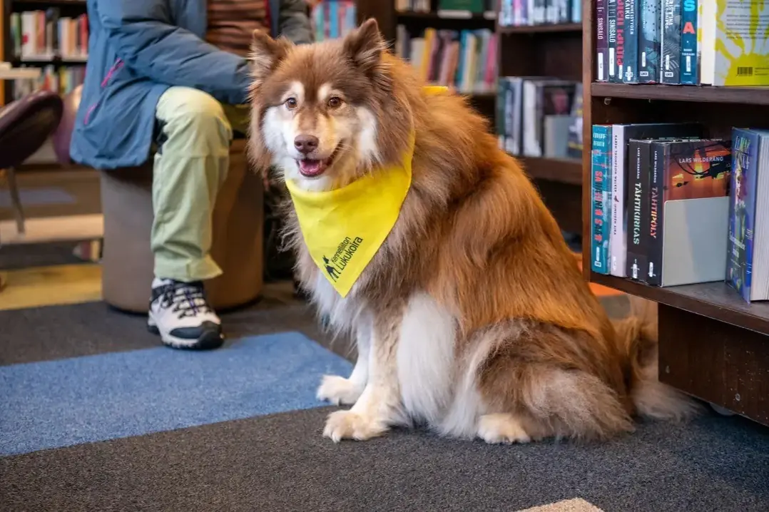 Reading Dog Luna — Munkkiniemen kirjasto, Helsinki