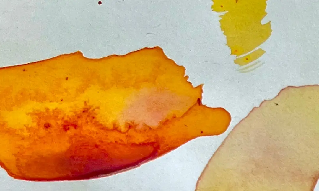 Glowing Radiance: Color Bath for Infants 4-11 Months - Arts Morning at Annantalo — Annantalo, Helsinki