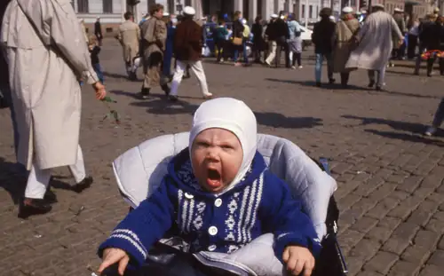 Kasarirastit