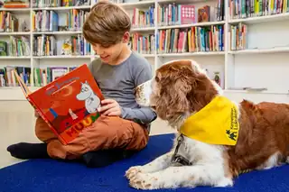 Läshunden på Tölö bibliotek