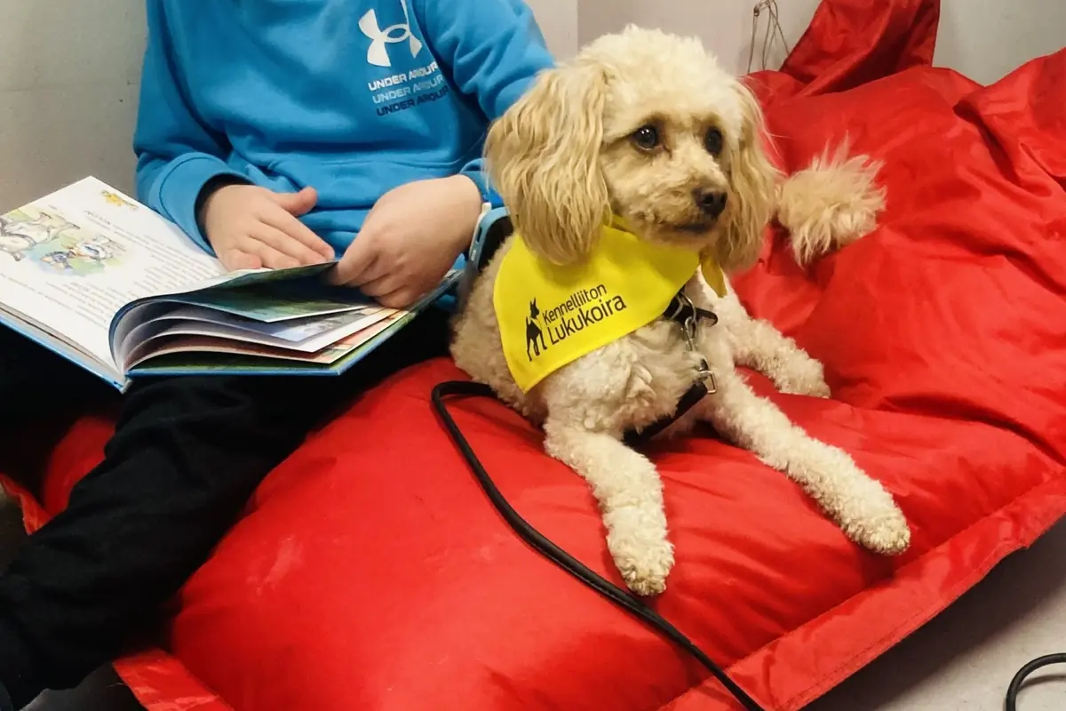 Reading Dog Ebba at Kallio Library — Kallion kirjasto, Helsinki