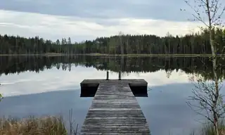 Haagan Taideseura: Tiia Bhandaris naturbilder från vår och sommar 2026