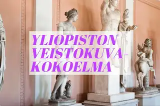 Universitetets skulptursamling