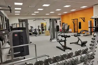 Motionshallshandledning