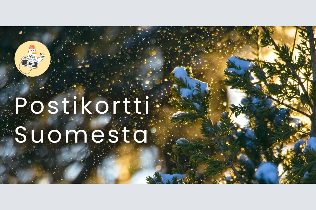 Utstilling: Postkort fra Finland — Tapiolan kirjasto, Espoo