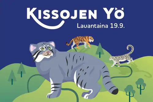 Kattenes Natt