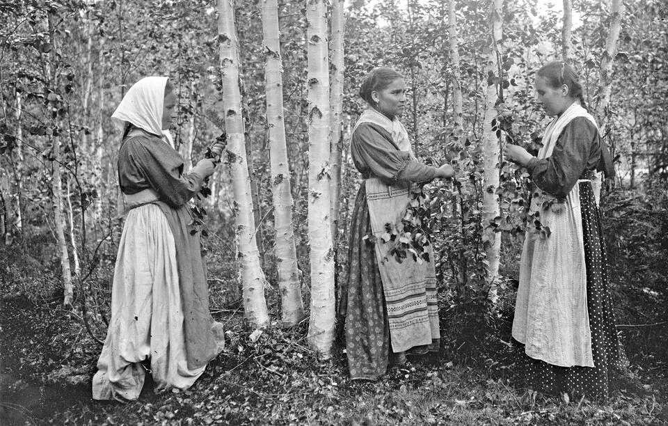 Østkarelien mellom Russland og Finland - fra middelalderen til Sovjet-tiden — Stoa, Helsinki