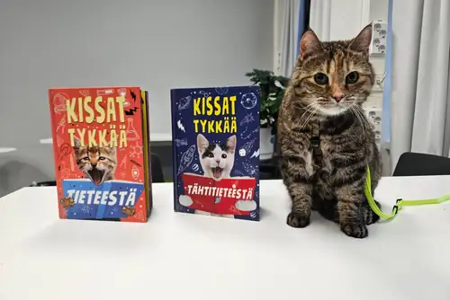 Lesekissen Tuska
