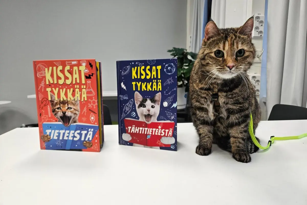 Lesekissen Tuska — Hakunilan kirjasto, Vantaa