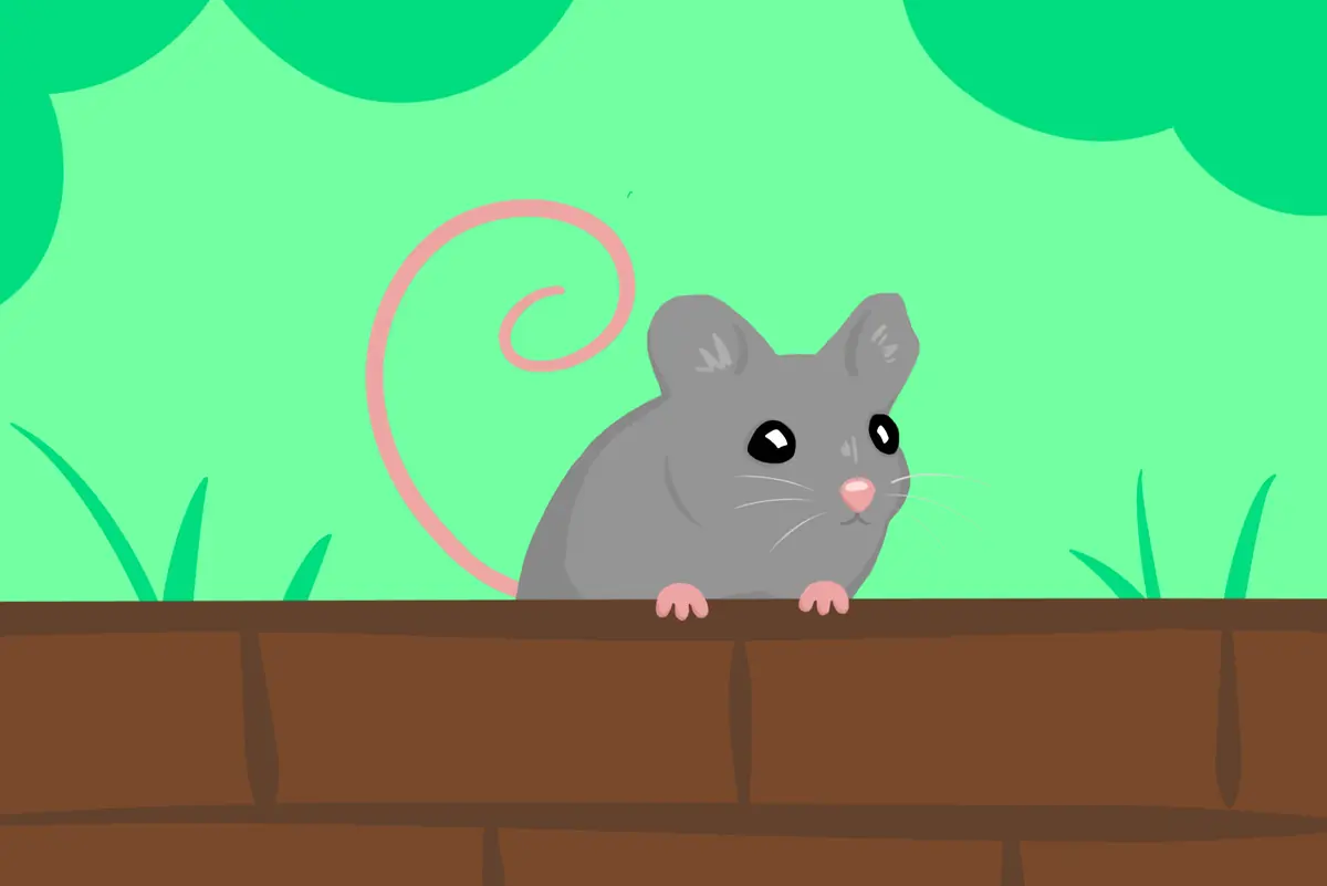 Nezumicon — Malmitalo, Хельсинки