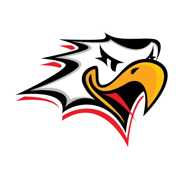 Sport - Pelicans — Vaasan jäähalli I, Vaasa