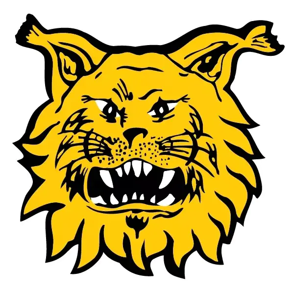 Ilves - HIFK — Tampereen Kansi Areena, Tampere