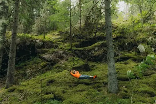 Stoa's Finland Nature Day: Pekko Käppi, Riikka Kaihovaara and Sanja Hakala