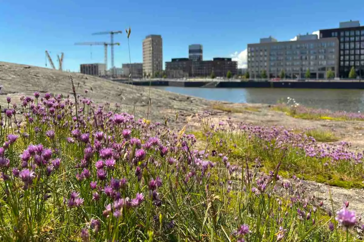Satamatta jääneet - Hengitys & Nimetön — Mustikkamaanpolku 12, Helsinki, Helsinki