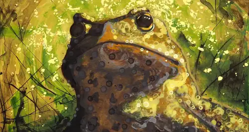 Ville Hiltunen: Ribbit 1000011 (taidenäyttely)