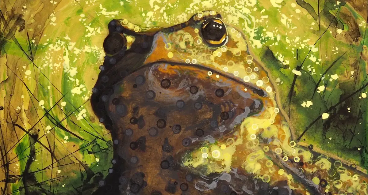 Ville Hiltunen: Ribbit 1000011 (art exhibition) — Sellon kirjasto, Espoo