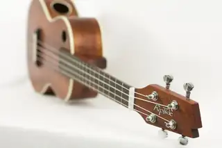 Ukulelekväll