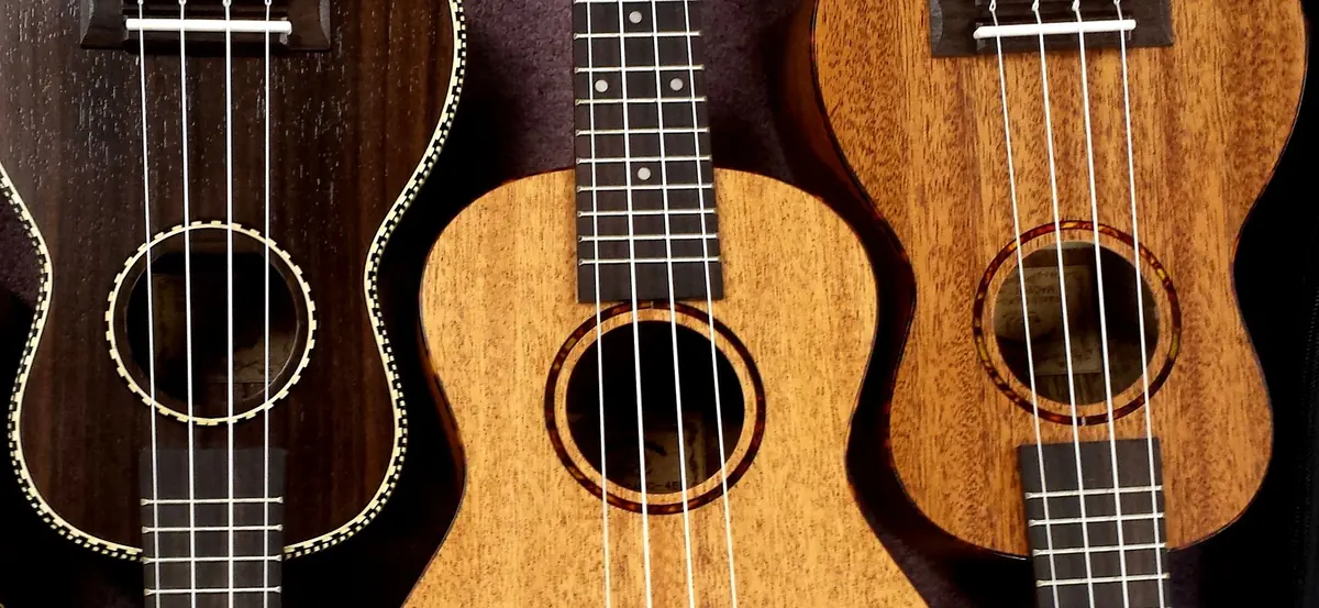Ukulele 7-12-vuotiaiden ryhmätunti — Sellon kirjasto, Espoo