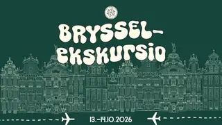 Brussels Excursion