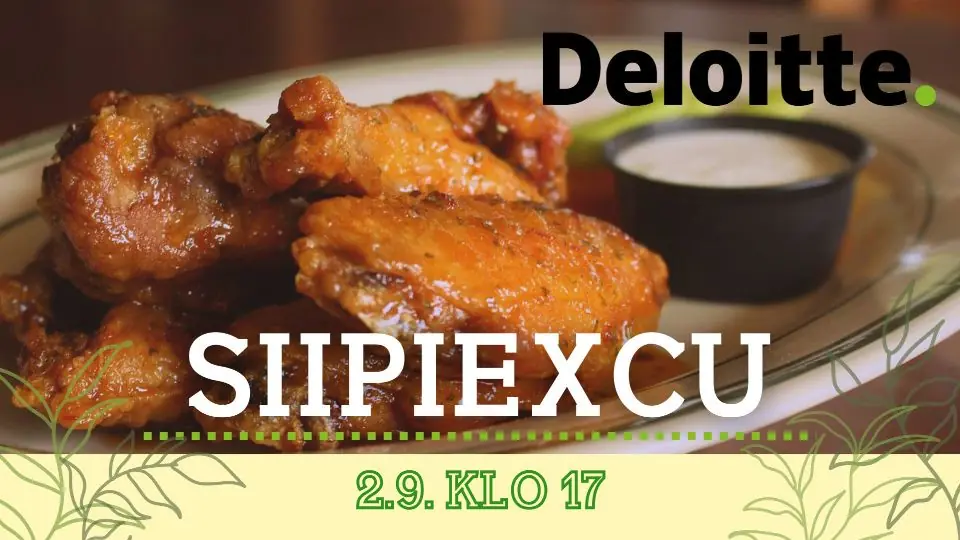 Deloitten Siipiexcu — Boomi ry, Tampere