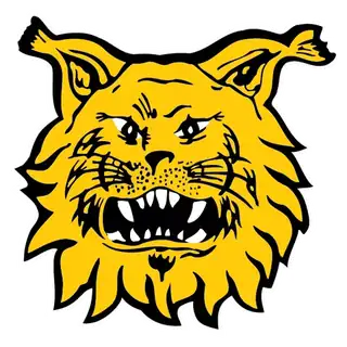 Ilves - HPK