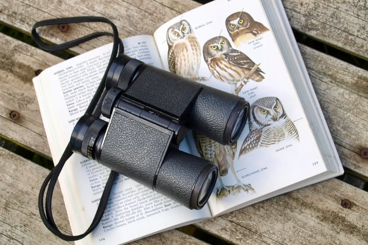 Bird-watching Walk for Rainbow Youth — IrisHelsinki, Helsinki