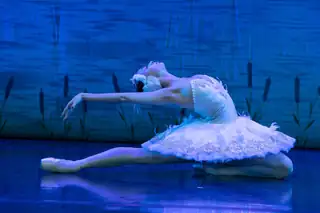 British Festival Ballet: Swan Lake