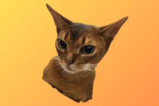 Lesekatt Charlie