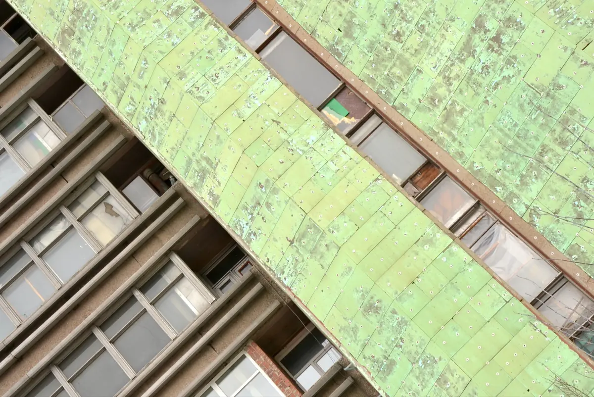 Lavinian taidepaja valokuvauksen keinoin﻿ — Stadin yhteisötalo Oulunkylän Seurahuone, Helsinki