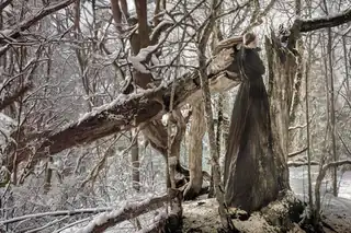Entanglement: I am a tree, I am a mouth