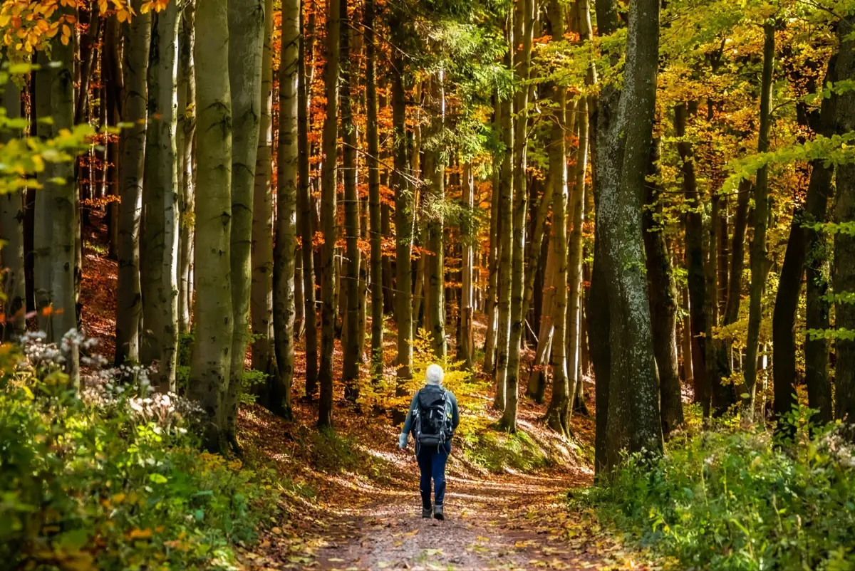 Nature Walk for Screen-Weary Souls — Herttoniemen kirjasto, Helsinki
