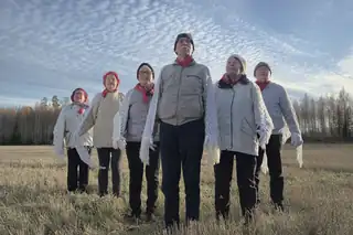 Ellins filmkväll