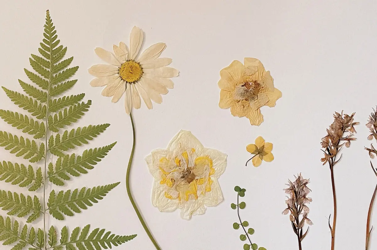 XJING ART Exhibition: Small Happiness in Nature — Suomenlinnan kirjasto, Helsinki