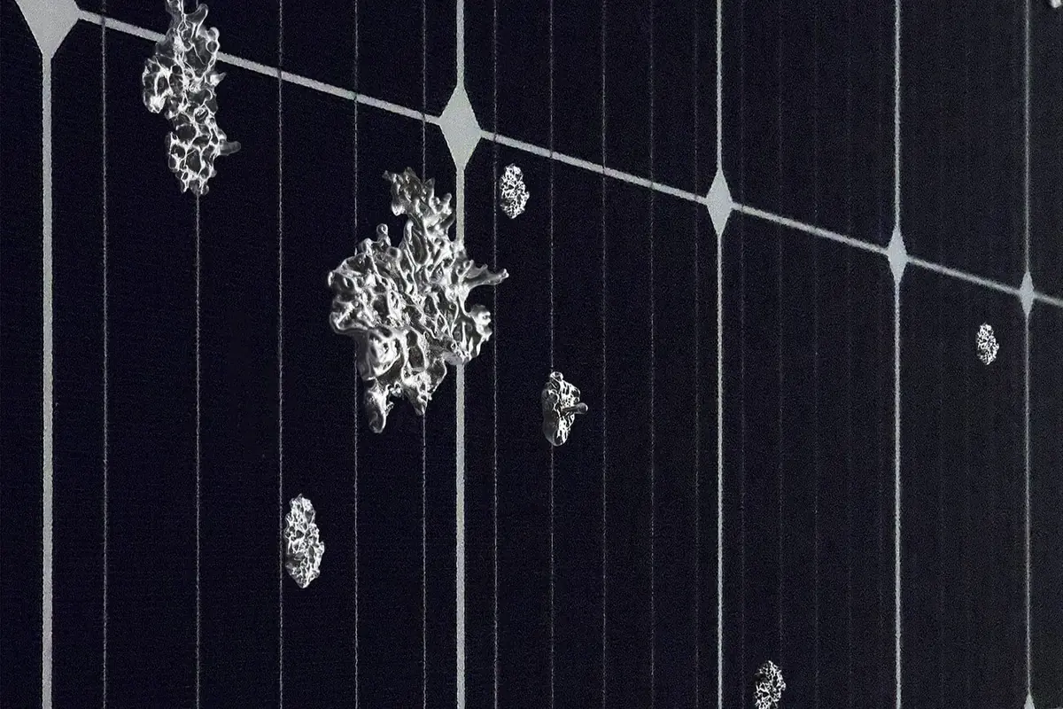 Sari Palosaari: Substrate — Forum Box, Helsinki